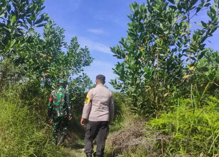 Pastikan Tak Ada Kebakaran, Polsek Langgam Bersama TNI Patroli