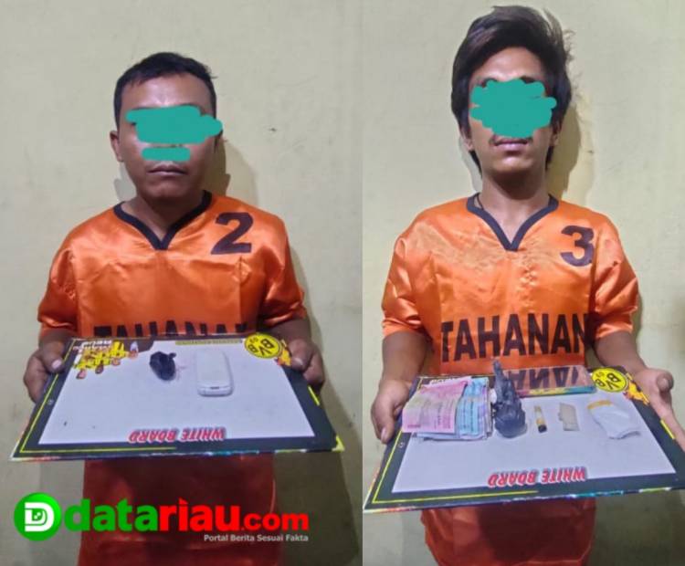 Polsek Kuantan Hilir Melakukan Penangkapan Terhadap Diduga Pelaku Tindak Pidana Narkotika Jenis Ganja