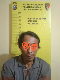 Polsek Langgam Tangkap Peredator Anak Dibawah Umur