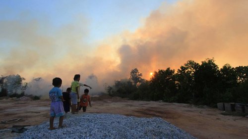 Gubernur Riau Akan Tertibkan Kebun Sawit Ilegal Seluas 1,2 Juta HA