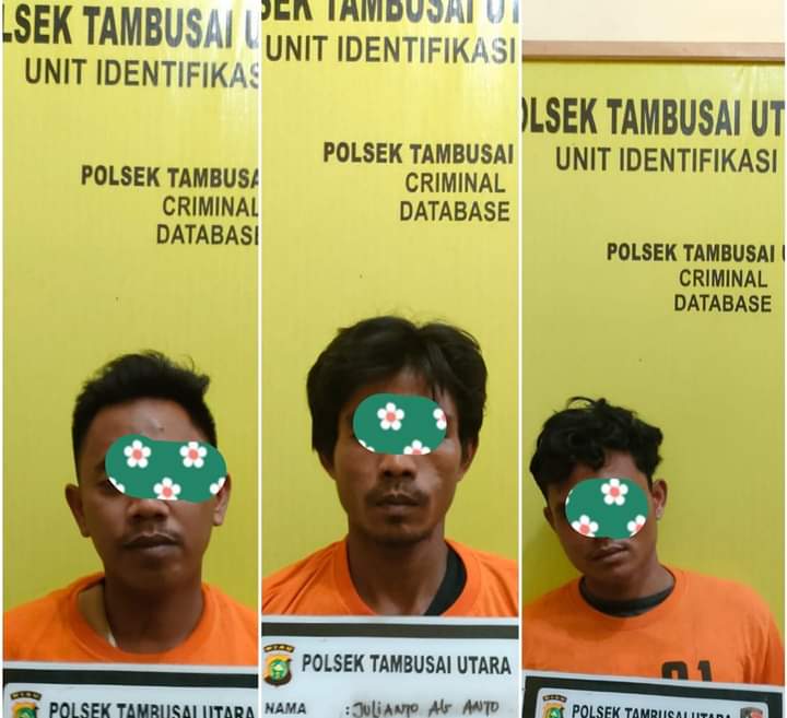 Tiga Maling Buah Sawit Ditangkap Warga, Gerak Cepat Personil Polsek Tambusai Utara Amankan Pelaku