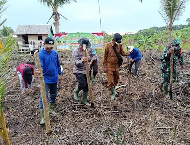 Kapolsek Pelangiran Bersama BUMDES Simpang Kateman Gelar Penanaman Jagung Serentak