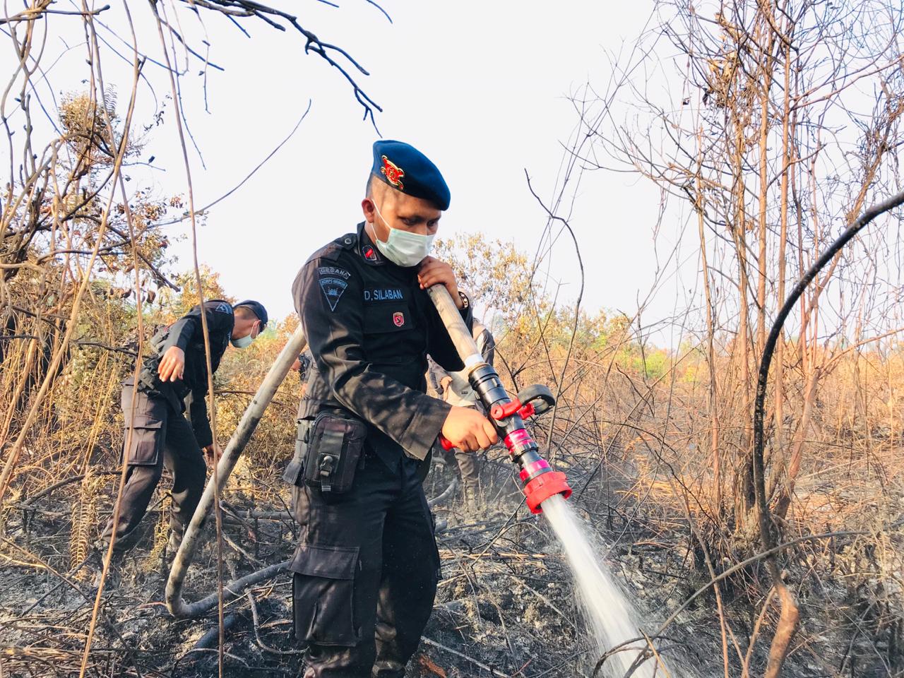 BKO Polda Riau Terjun Ke Pulau Meranti, Demi Padamkan Api