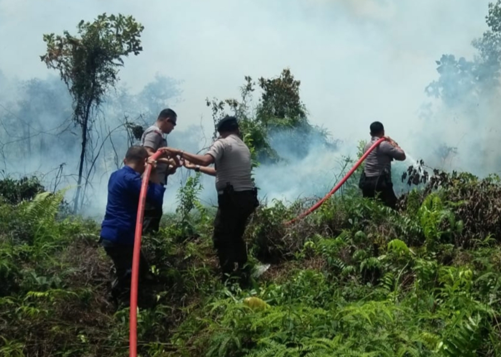 Petugas Gabungan Karhutla Berhasil Padamkan Api Dalam waktu 1 Jam