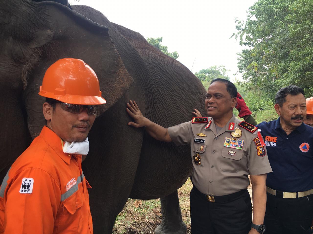 Kapolda Riau Bersama BPBD Provinsi Cek Lokasi TNTN