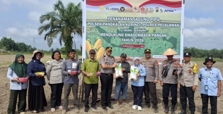 Polsek Pangkalan Kerinci Tanam Jagung Pipil di Lahan Asta Cita Km 55, Dukung Program Ketahanan Pangan Nasional