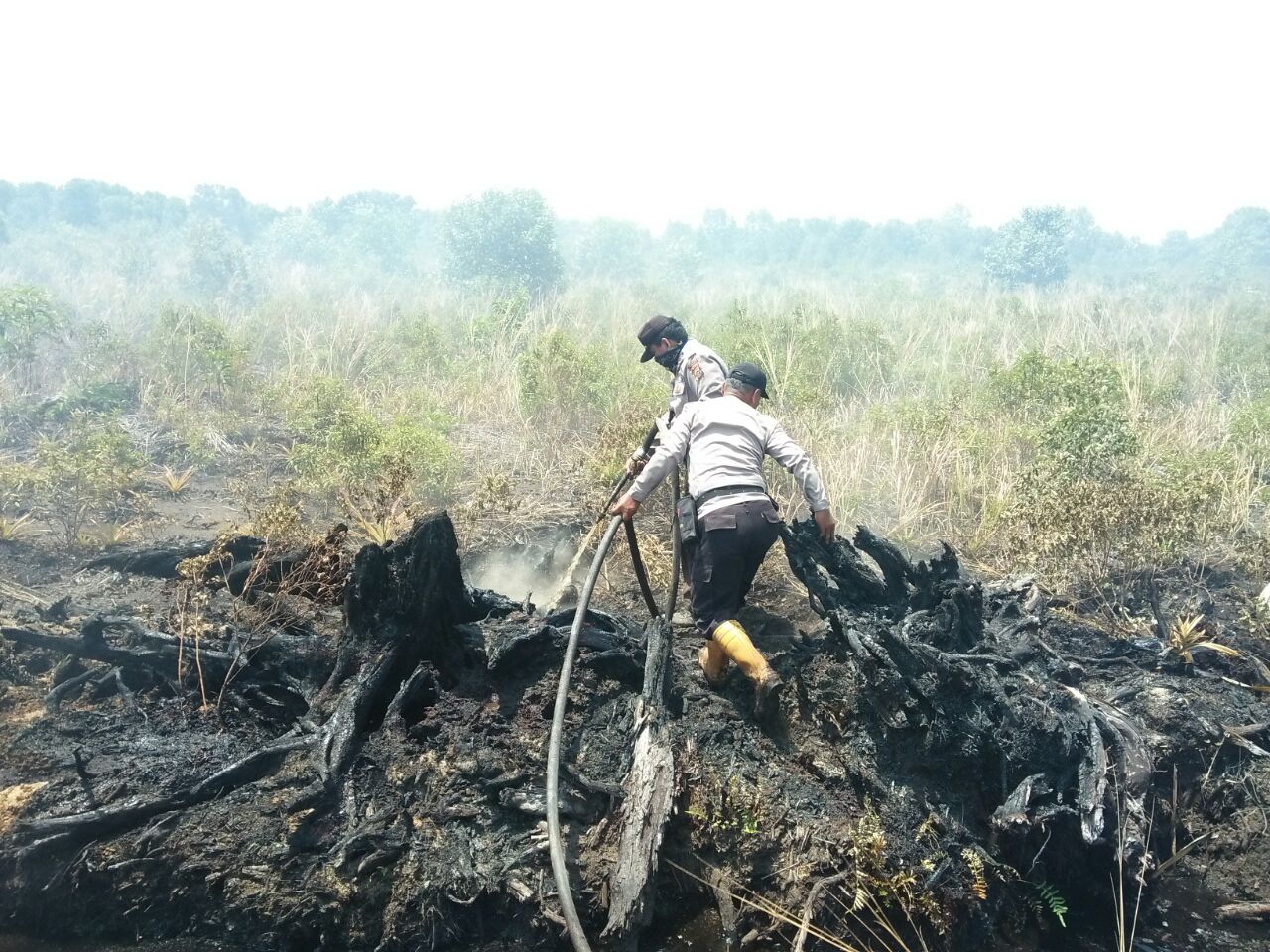 Polsek Medang Kampai Bersama Instansi Terkait Dan Masayarakat Padamkan Titik Api
