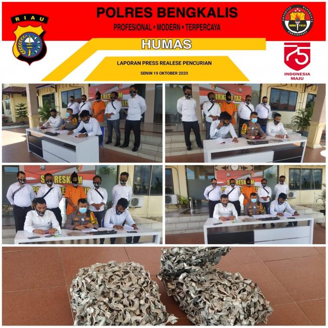 Polres Bengkalis Ungkap Pelaku Tindakan Ilegal Logging