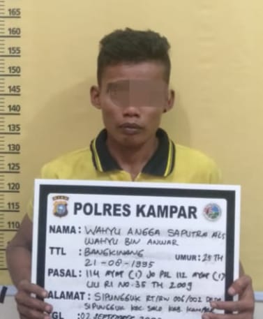 Resnarkoba Polres Kampar Tangkap Seorang Pengedar Shabu di Kampung Godang Bangkinang