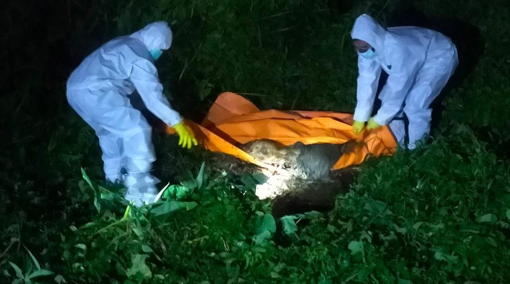 Penemuan Sesosok Mayat Tak Dikenal Di Desa Pandau Jaya Siak Hulu, Begini Ciri-cirinya