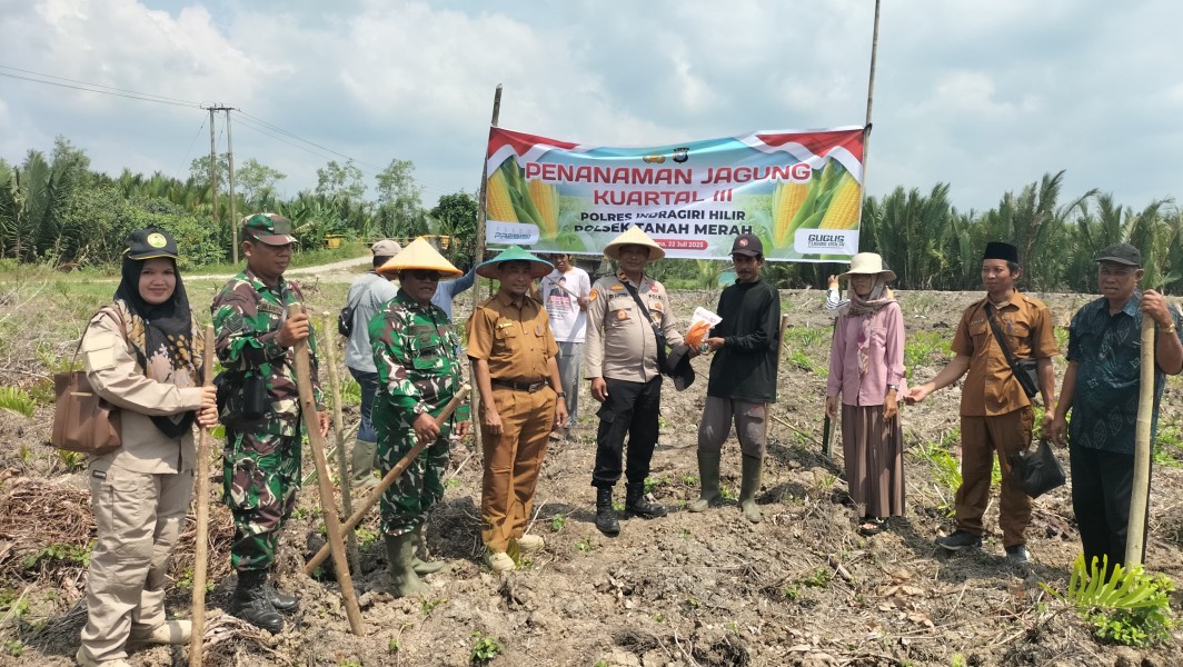 Polsek Tanah Merah Dukung Ketahanan Pangan Lewat Pendampingan Penanaman Jagung di Desa Selat Nama