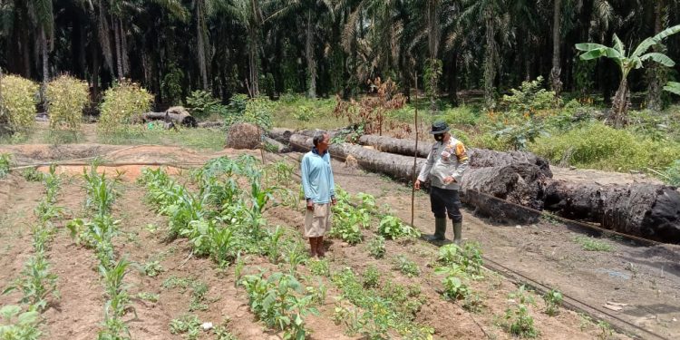 Polsek Pangkalan Lesung Kembali Tingkatkan Giat Kampung Tangguh