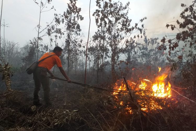 Polri Kembali Berhasil Tangkap 3 Pelaku Karhutla