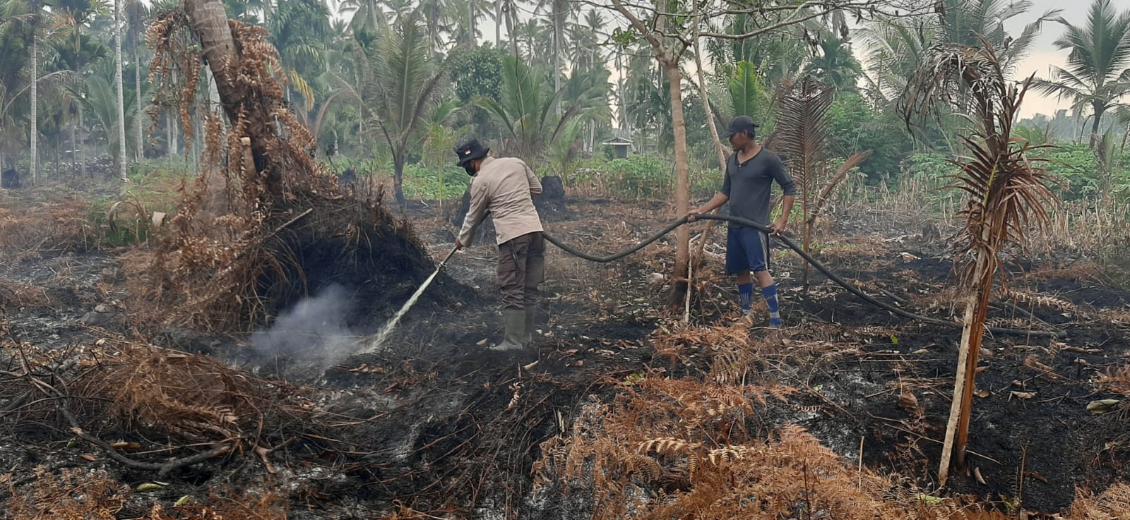 Tim Polsek Kuala Kampar Padamkan Karlahut Sungai Upih dan Teluk Beringin 