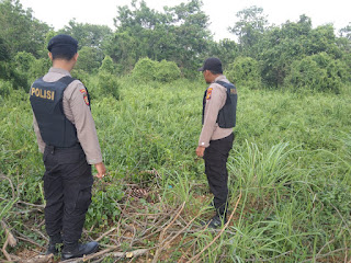 Polsek Pangkalan Kerinci Patroli Pencegahan Karhutla
