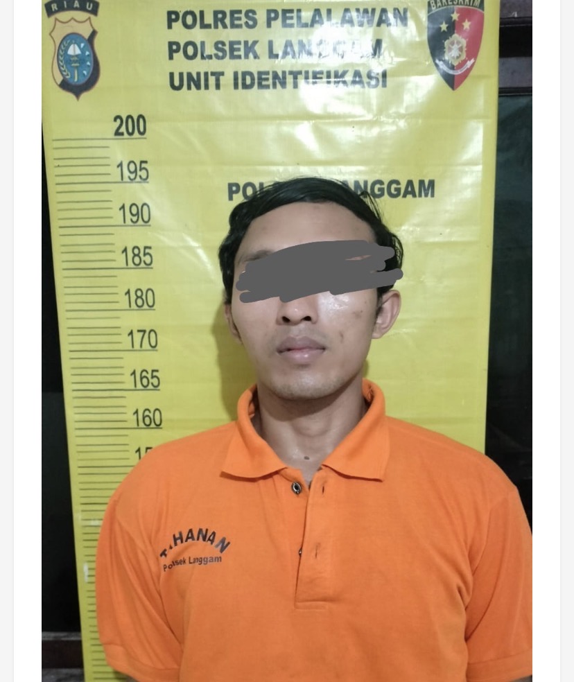 Dua pelaku Pencurian Sawit Milik Warga Diamankan Polsek, 14 Tandan Jadi Barang Bukti