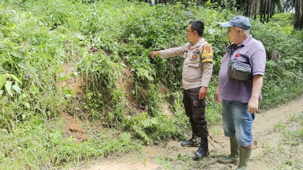 Polisi Bersama TIM BKSDA Giring Gajah Kembali ke Habitat