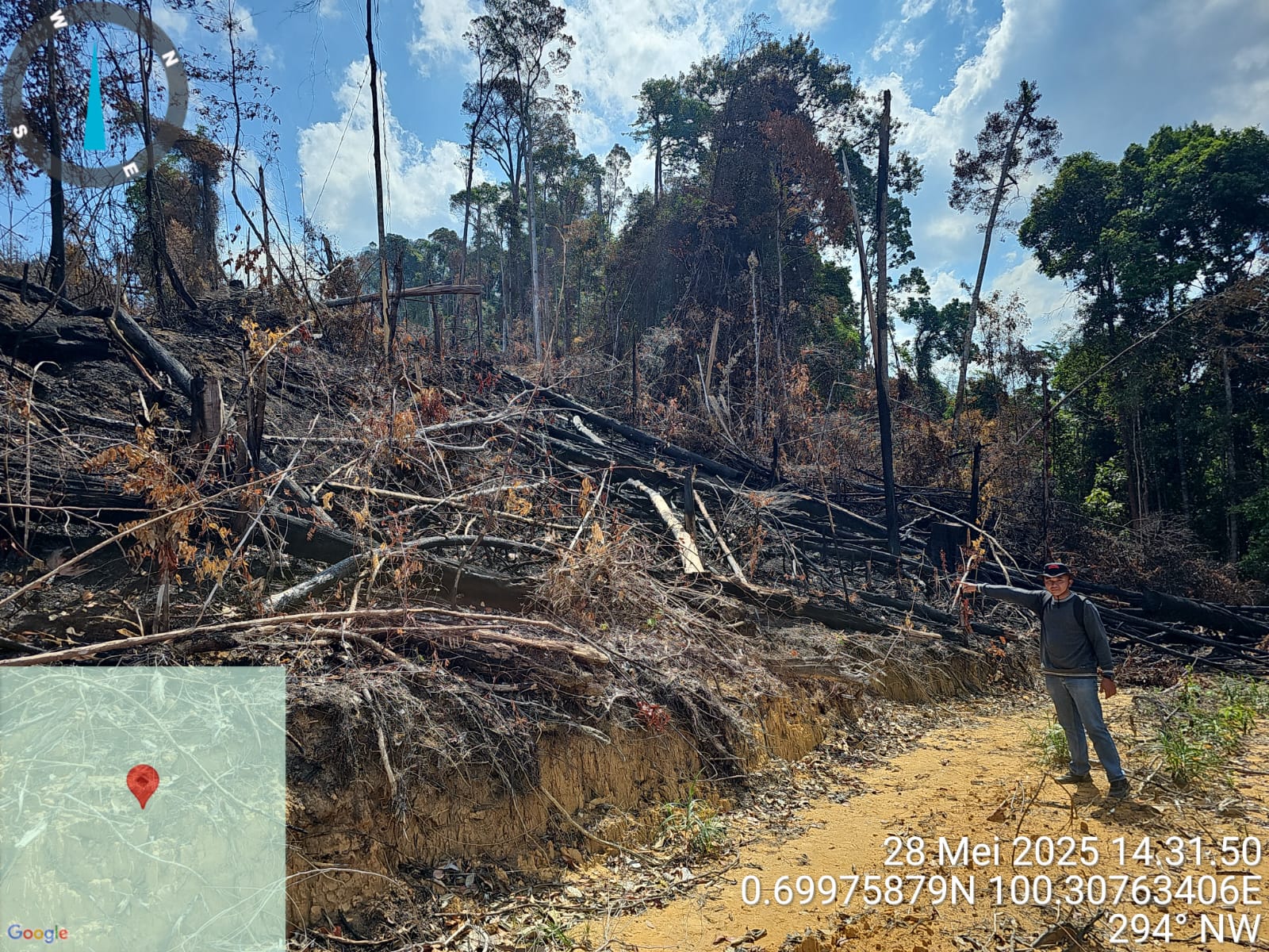 Polres Rohul Tangkap Pelaku Pembakaran Lahan di Hutan Produksi Terbatas (HPT) Tanjung Medan