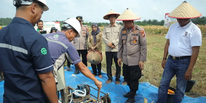 Mengulik Hasil Pertanian Polres Inhu di Lahan PAS, Dukung Swasembada Pangan