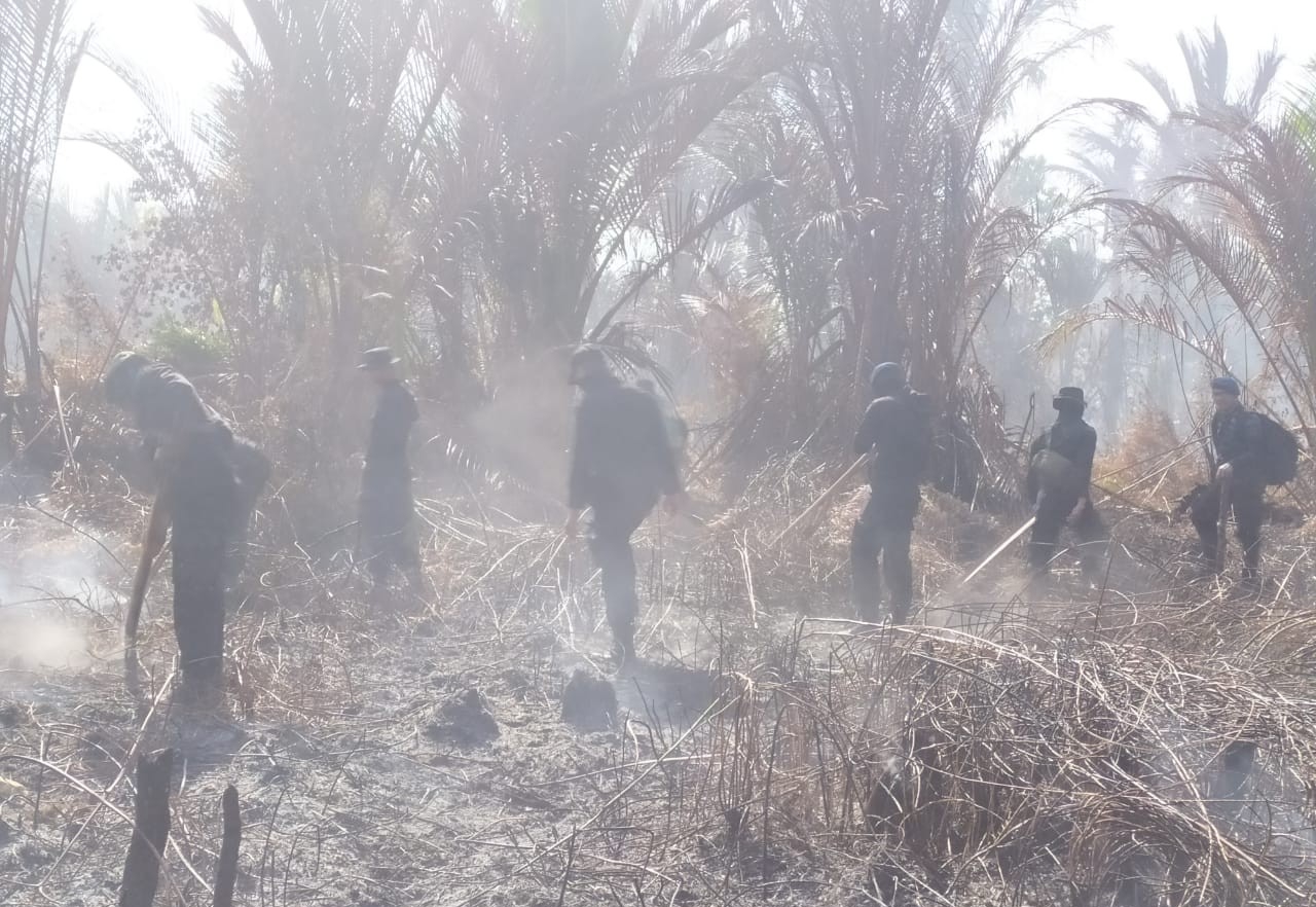 Ini Kendala Dilapangan Menghadapi Karhutla di Meranti Selama 7 Hari