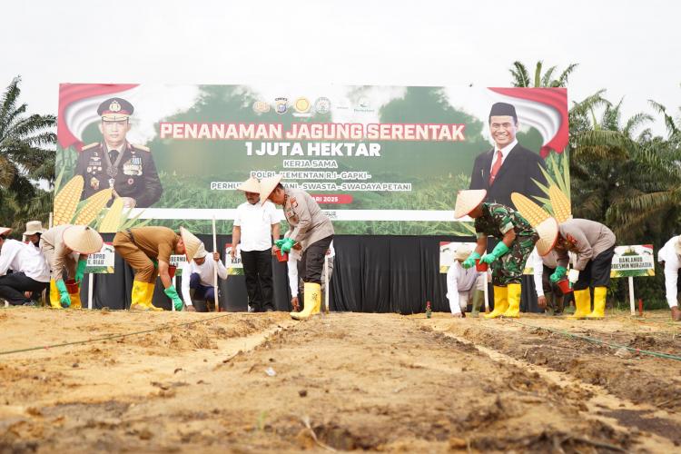 Polda Riau Gelar Penanaman Jagung Sejuta Hektar Di Areal PT Tasmapuja Desa Kampar