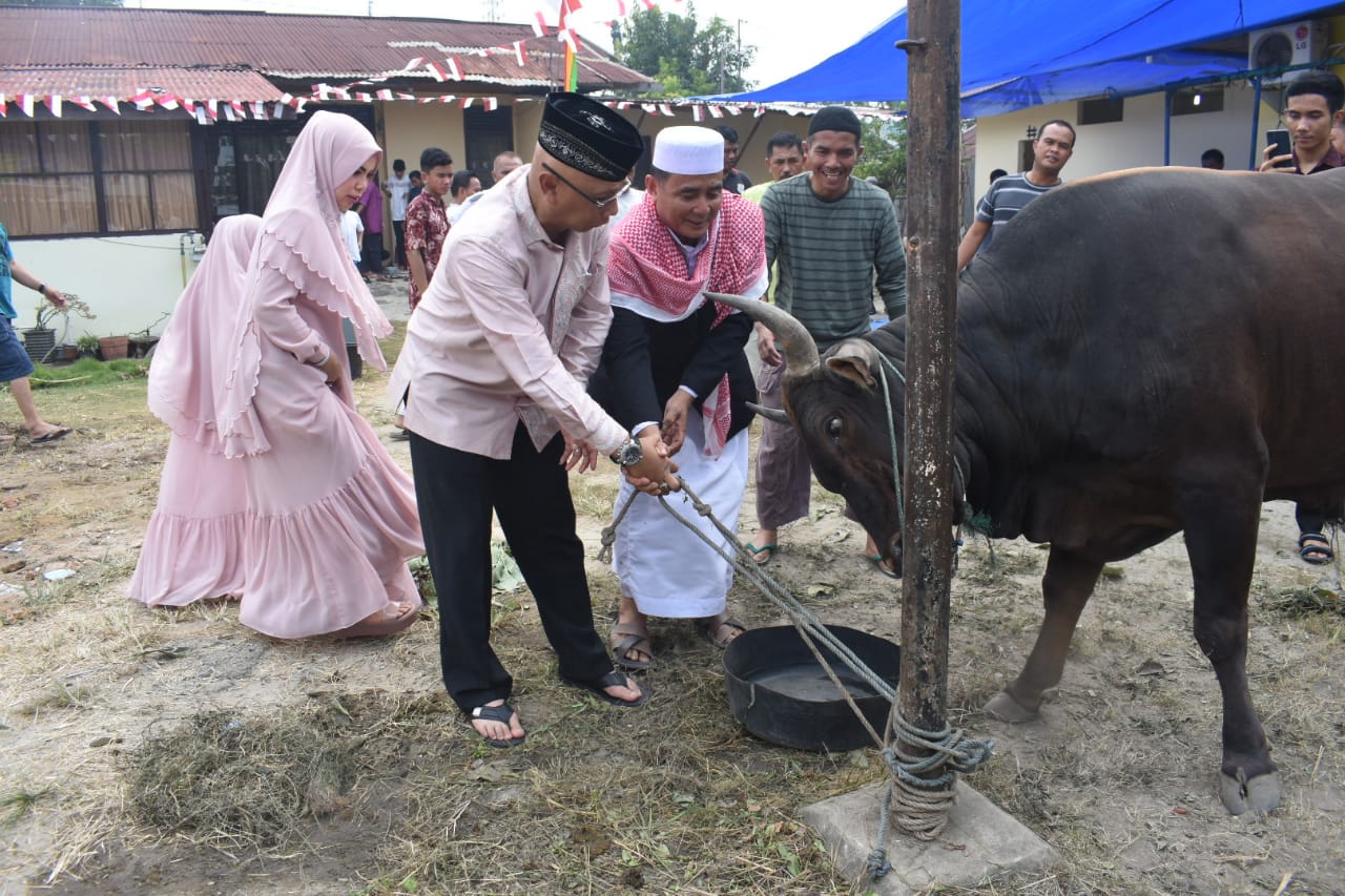 Kapolresta Pekanbaru Serahkan Hewan Qurban Dan Ikuti Proses Pemotongan 20 Hewan Qurban