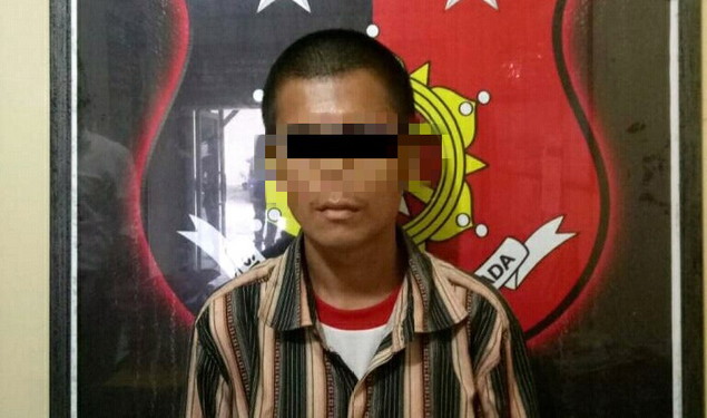 Cabuli Bocah SD di Kebun Sawit, Seorang Pemuda di Rohul Diciduk Polisi