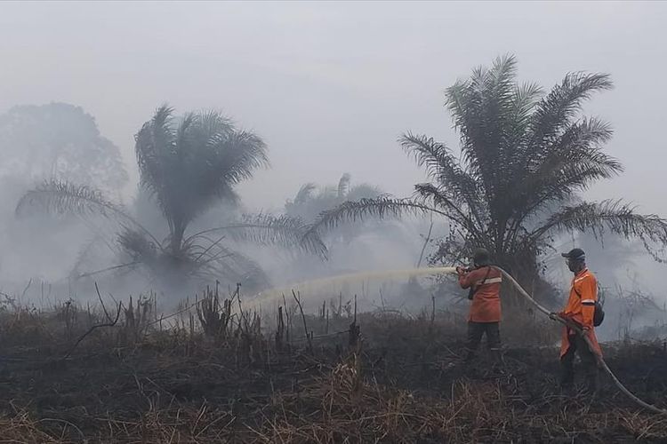 Kasus Karhutla PT SSS P21, Polda Riau segera Limpahkan ke Kejaksaan