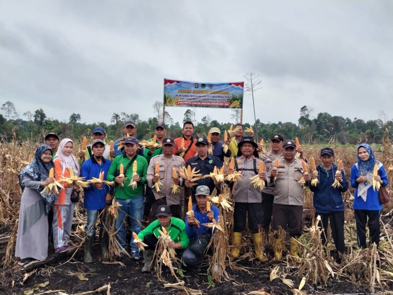 Panen Raya Jagung Serentak di Gaung, Dukung Program Asta Cita Presiden RI