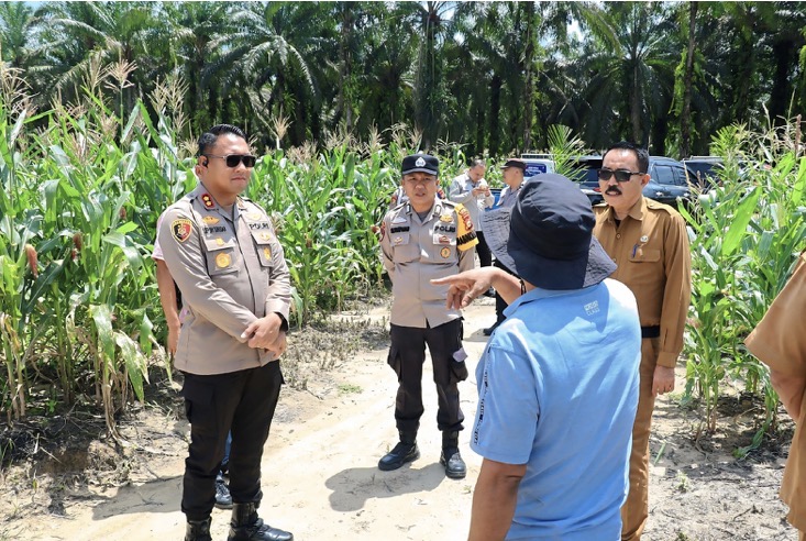 Dukung Ketahanan Pangan, Kapolres Siak Tinjau Progres Kebun Jagung di Kecamatan Kandis