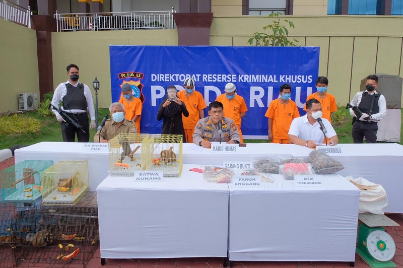 Polda Riau Bongkar Kejahatan Perdagangan Ilegal Hewan Dilindungi