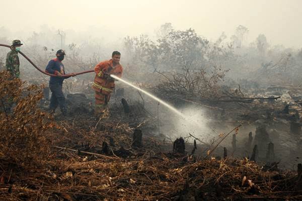 Aparat Gabungan Terus Berjibaku Memadamkan Api Di Rohil