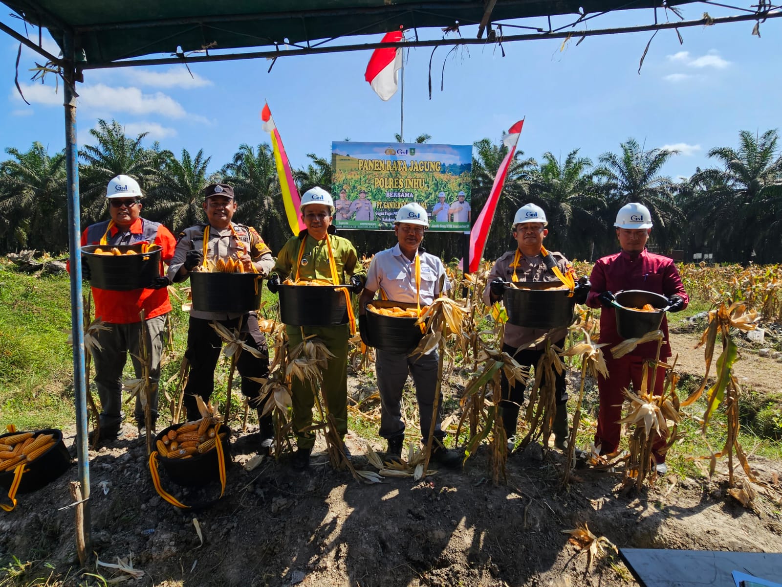 Semangat Dukung Program Ketahanan Pangan Presiden, Polsek Lirik dan PT GH Panen Jagung