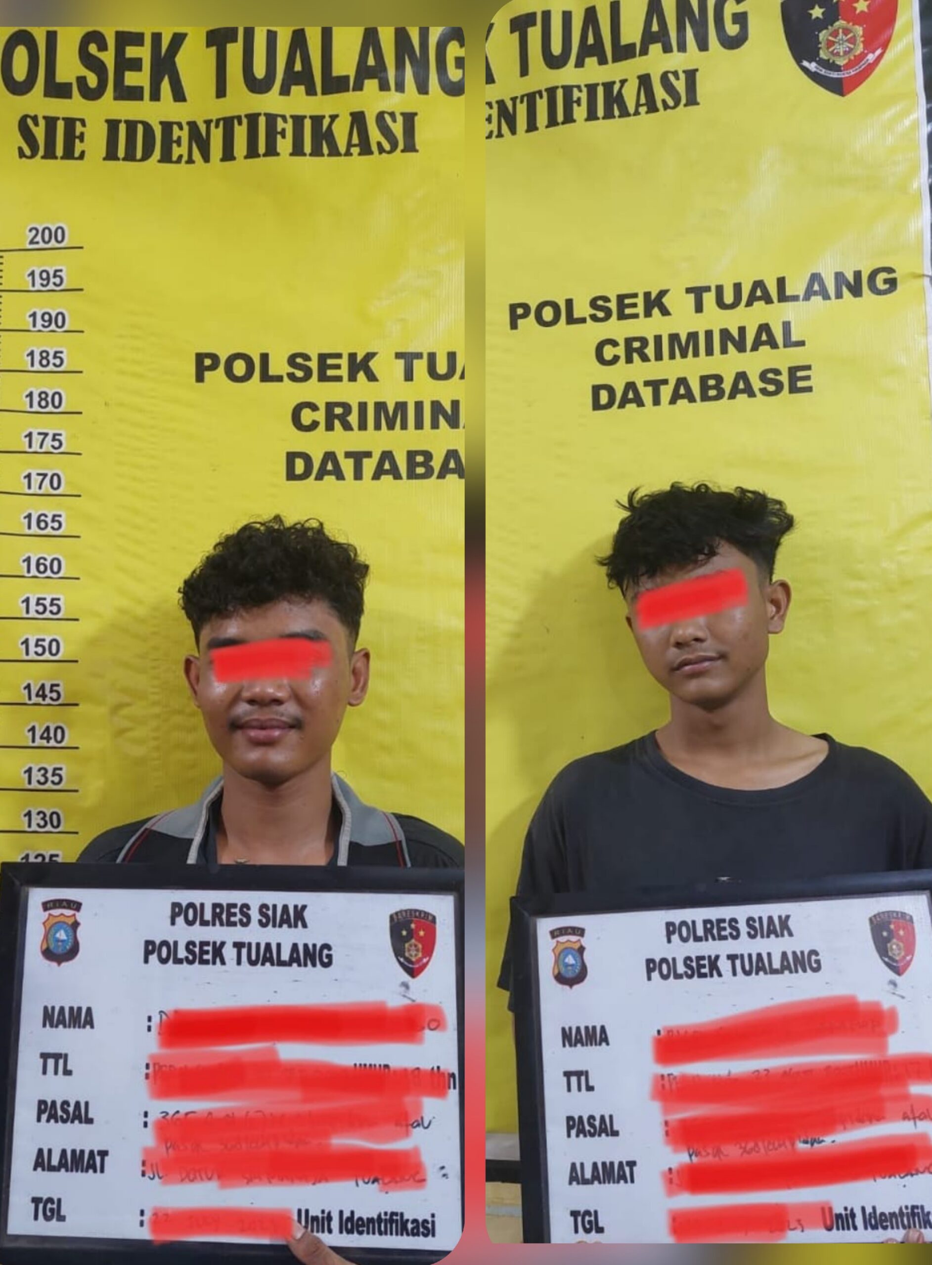 Dua Pelaku Curas di bekuk Tim Opsnal Polsek Tualang.