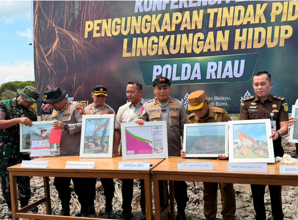 Geram Lihat Mangrove Dirusak, Kapolda Riau: Ini Benteng Masyarakat Pesisir, Tempat Satwa Berkembang Biak