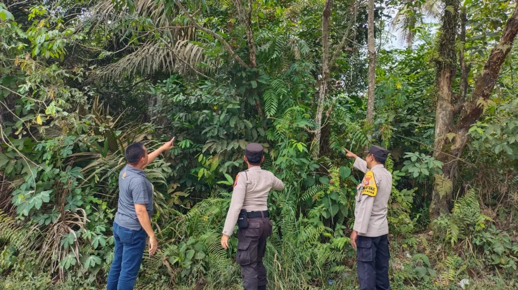 Cegah Karhutla, Polisi Pangkalan Kuras Lakukan Patroli di Lokasi Rawan