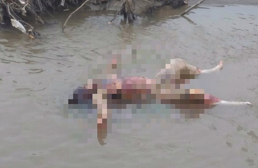 Warga Rohul Temukan Mayat Perempuan di Kuari Kampung Baru, Polisi Temukan Luka Bekas Benda Tumpul