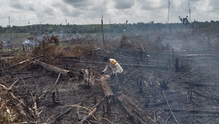 Verifikasi Dan Pasang Police Line, Polsek Ukui Terjun ke Lokasi Karhutlah 