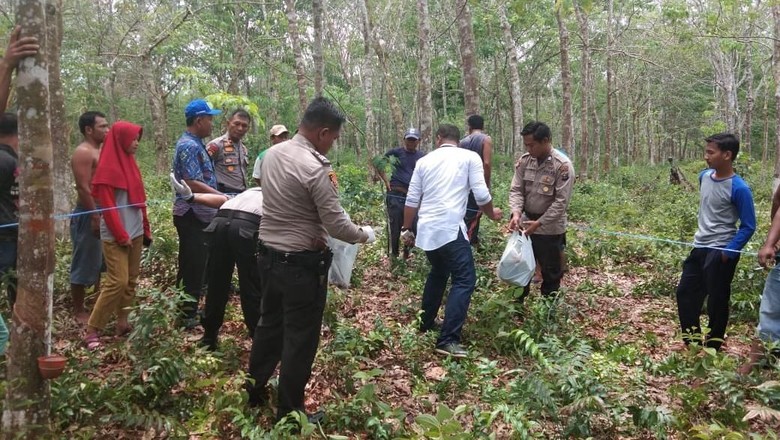 Polsek Rengat Barat Selidiki Temuan Kerangka Manusia Di Kebun Karet