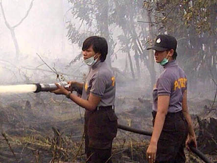 Antisipasi Karlahut Via Satelit, Titik Panas Kini Muncul Di Siak