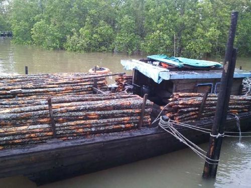 Dit Polair Polda Riau Amankan Pompong Pembawa Kayu Ilegal