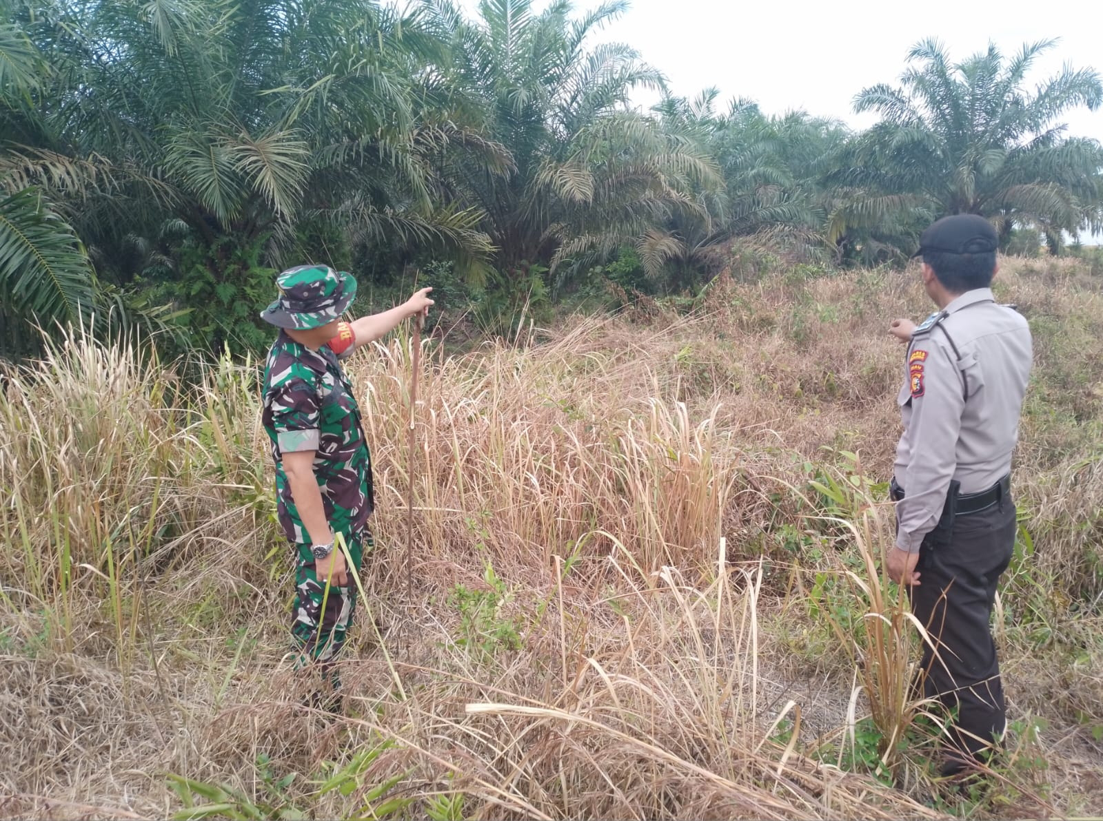 Patroli Gabungan Polsek Bunut dan TNI Cegah Kebakaran Hutan dan Lahan