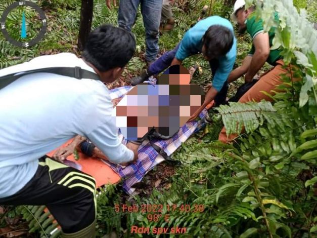 Penebang Kayu Tewas Mengenaskan, Diduga Dimangsa Harimau