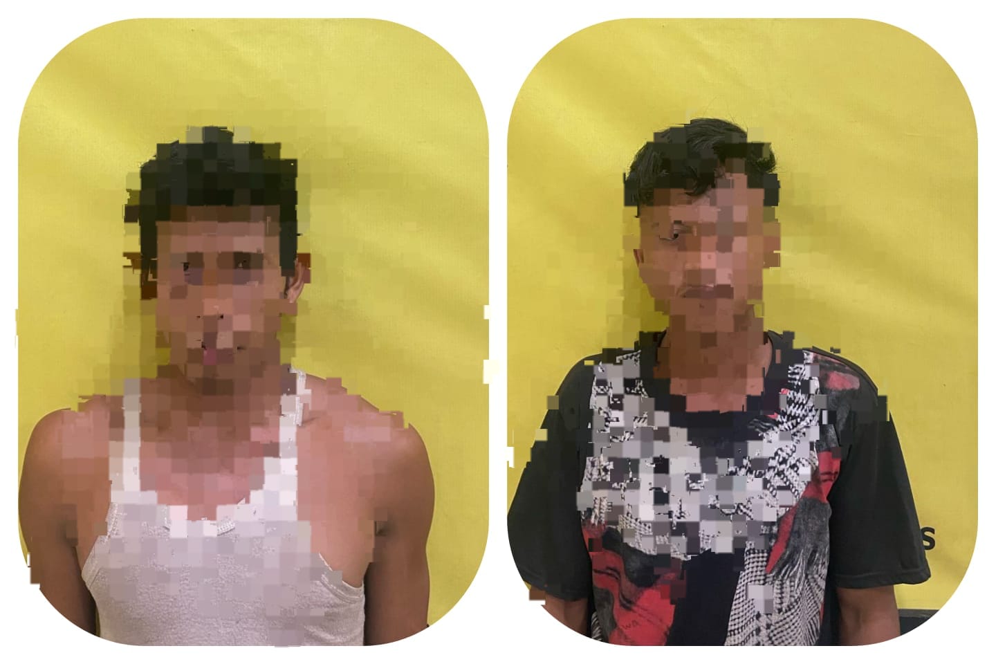 Kapolsek Sungai Sembilan Ringkus Pencuri Sawit 150 Kg!