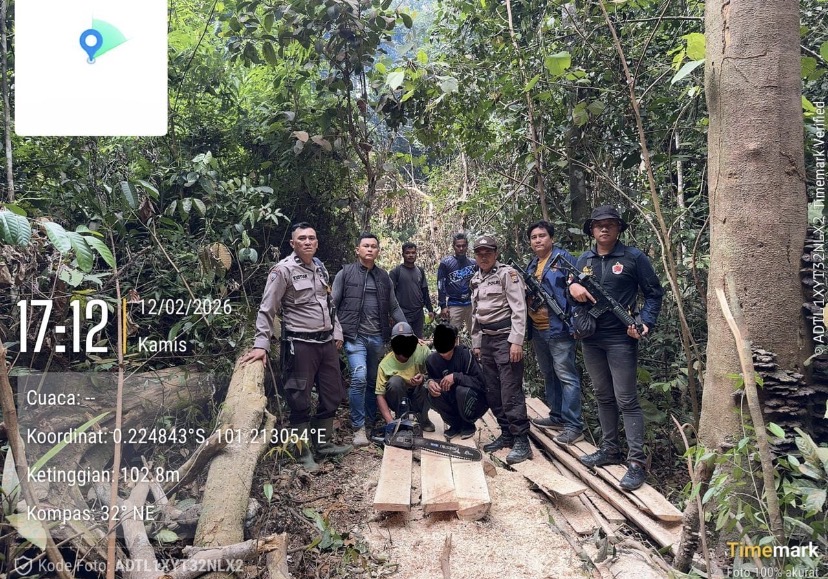 Polsek Singingi Hilir Ungkap Illegal Logging di Suaka Margasatwa Rimbang Baling