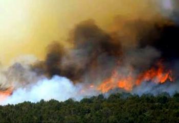 Polri dan TNI, bersinergi padamkan 135 HA lahan terbakar di Meranti