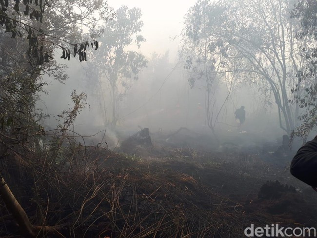 Polres Inhil Amankan 2 Orang Pelaku Kasus Dugaan Pembakaran Lahan Di Inhil