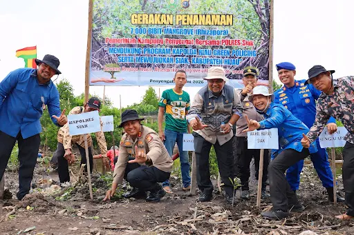 Polres Siak Bersama Pemerintah Kampung Penyengat Tanam 7.000 Bibit Mangrove