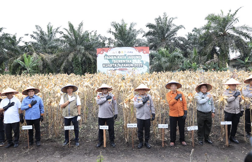 Wujudkan Swasembada Pangan, Polda Riau Panen Raya Jagung Serentak di Kampar