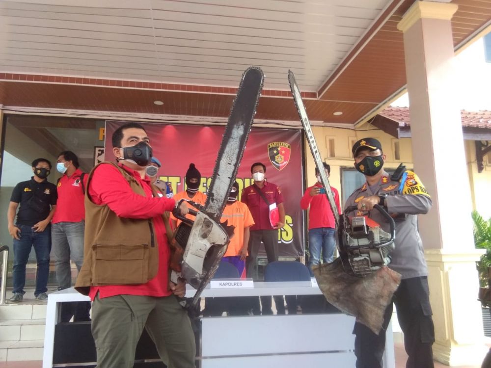 Polisi Ringkus Pelaku Ilegal Loging di Bengkalis